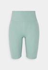 FLOAT HIGH RISE BIKE SHORTS - Tajice - chinoiserie