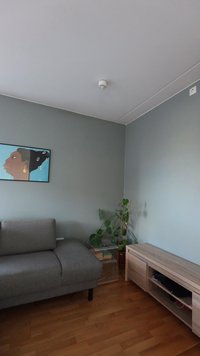 adidas Originals ADICOLOR BLOKECORE UNISEX - Jumper - legacy burgundy