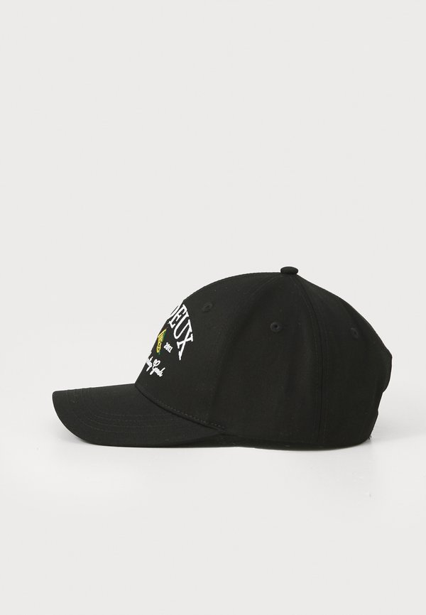 IVY LEAGUE BASEBALL  - Cap2