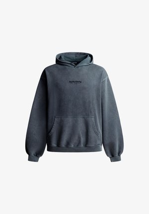 Red Bull Racing x Pepe Jeans, STARS - Суитшърт - industrial grey