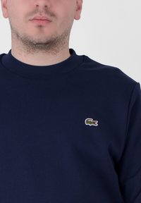 Námornícky modrý sveter s dlhými rukávmi s malým vyšitým zeleným logom krokodíla na hornej ľavej strane hrudníka. Mäkkučký, štruktúrovaný materiál.