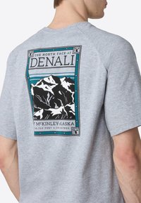 The North Face M SS NORTH FACES TEE - T-shirts print - tnf light grey heather