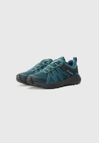 Columbia PEAKFREAK ROAM - Pantofi drumeție - everblue/dark grey