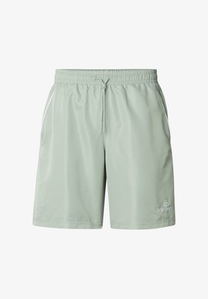 Lys grønne shorts med elastisk midjebånd, snor, sidelommer og liten hvit logo nederst på høyre ben.