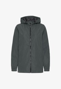 Pasirinkta, forged iron