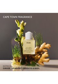 Flasche des OUAI Kopfhautserums dargestellt mit frischem Ingwer, Spearmint, grüner Feige und Basilikum auf einer reflektierenden Oberfläche mit grauem Hintergrund.