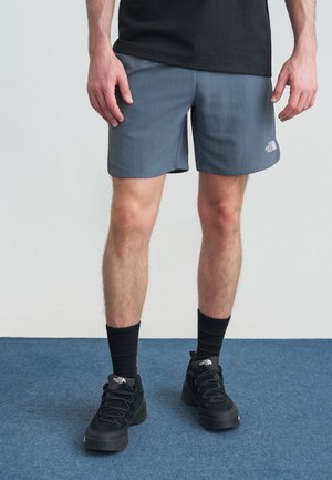 Male wearing gray The North Face shorts, black socks, and black hiking shoes standing on blue carpet with white background.