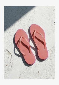 Non sélectionné, pink gum tropical coral