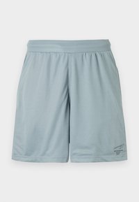 Lichtgrijze sportshorts gemaakt van ademende, gestructureerde stof. Voorzien van een elastische tailleband en een klein logo aan de onderzijde rechts.