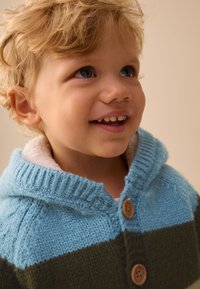 Strickpullover mit Kapuze; hellblaue und dunkelgrüne Streifen. Verfügt über zwei Holzknöpfe und einen weichen, strukturierten Kragen.