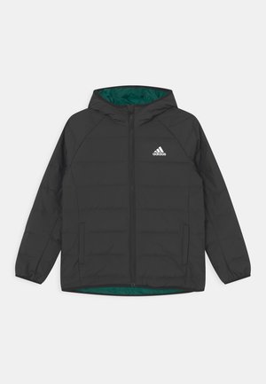 FROOSY UNISEX - Daunenjacke - black/white