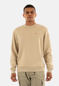 Felpa beige in cotone con maniche lunghe, colletto a girocollo a coste e piccolo logo sul petto. Presenta una vestibilità rilassata e una texture liscia.