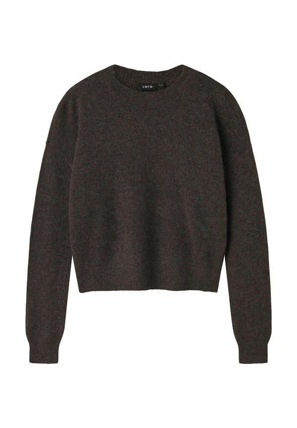 LANGARM - Strickpullover