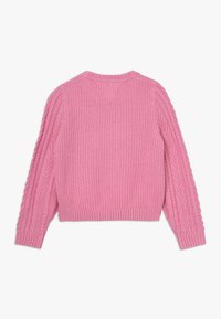 Rosa stickad tröja med flätstickat mönster på ärmsluten, ribbade muddar och fåll, visad bakifrån mot en vit bakgrund.