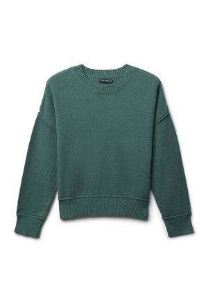 Grüner Strickpullover mit rundem Halsausschnitt, fallenden Schultern und gerippten Bündchen sowie Saum. Weiche Textur und schlichtes Design, keine Muster oder Akzente.