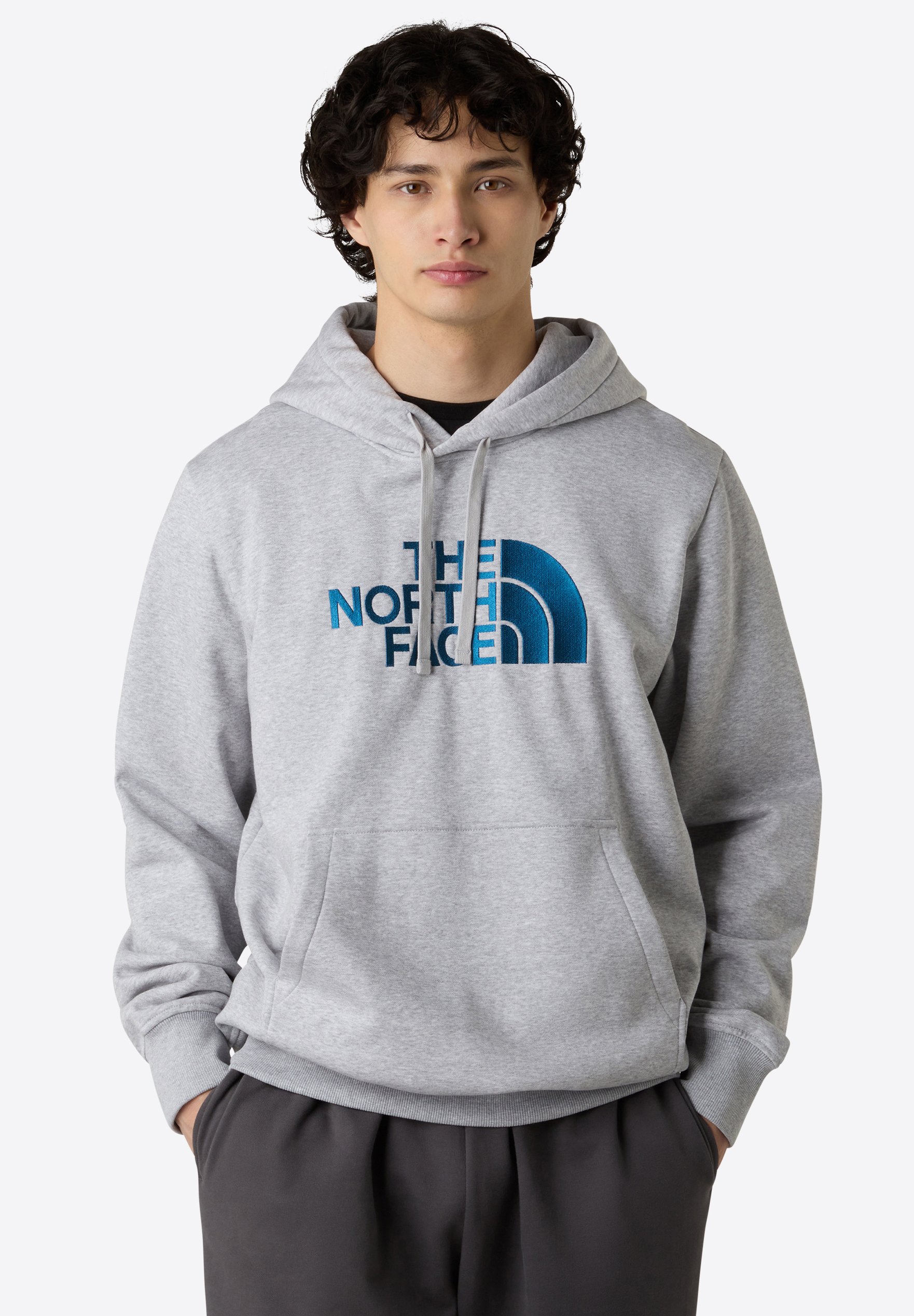 The North Face DREW PEAK REGULAR HOODIE - Fleece jumper - tnf 