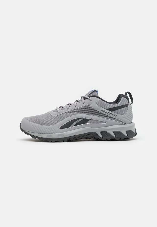 RIDGERIDER 6.0 - Trail hardloopschoenen - pure grey/grey