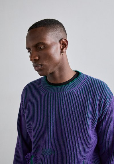 MM6 Maison Margiela REVERSIBLE CREWNECK - Pulover - purple/green