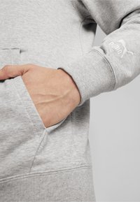 Puma TEAM - Felpa con cappuccio - light gray heather