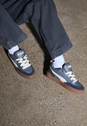 PARK LIFESTYLE UNISEX - Skateschoenen - cool dark gray/alpine snow/strong gray