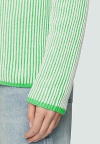Grün-weiß gestreifter Strickpullover mit langen Ärmeln. Auffällige strukturierte Streifen und ein einfarbiger grüner Bund an den Ärmeln und am Saum.