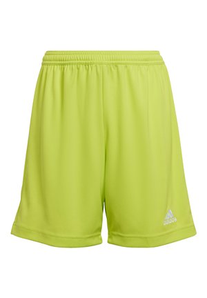 adidas Performance ENTRADA - Kurze Sporthose - gruen
