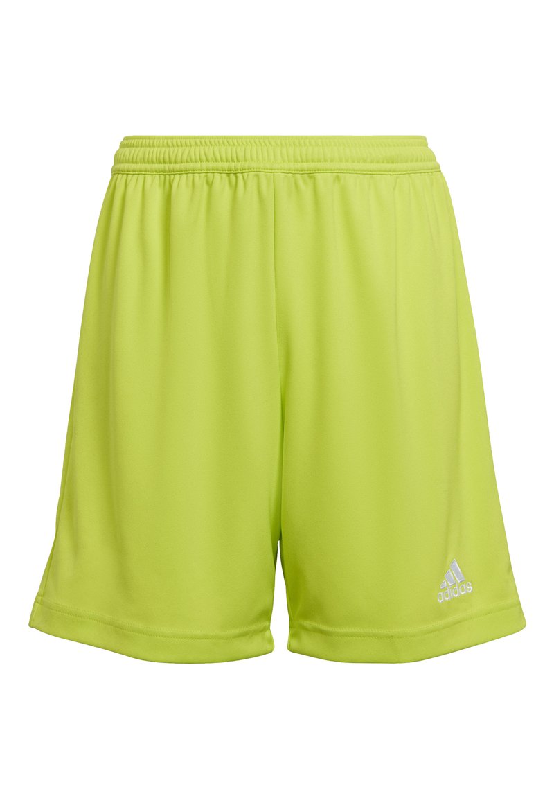 adidas Performance ENTRADA - Short de sport - gruen