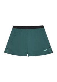 Heren sportshorts in donkergroen, gemaakt van lichtgewicht stof. Voorzien van een zwarte elastische tailleband en een zijzak. Logo op de zoom.