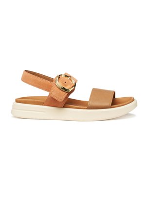 Sandalo marrone con punta aperta e suola bianca, caratterizzato da una larga fascia anteriore e un cinturino alla caviglia regolabile con fibbia dorata.