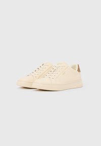 Pár bézs színű, alacsony szárú tornacipő fűzőkkel és barna sarokdíszítéssel, világosszürke felületen elhelyezve.