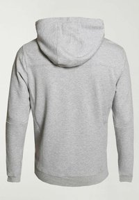 Sweat à capuche gris clair à manches longues avec poignets et ourlet côtelés, coutures visibles, présenté de dos sur un fond blanc uni.