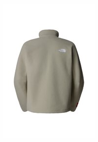 The North Face TNF FLEESKI - Forro polar - clay grey
