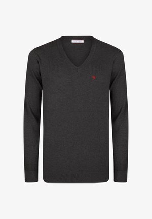 Maglione a V in tessuto knit grigio scuro, con un piccolo logo di un uccellino rosso sul lato sinistro del petto e con polsini e orlo a costine.