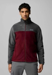 Giacca in pile, grigio e bordeaux con blocchi di colore, chiusura zip, colletto alto, logo sul petto, texture morbida, polsini elastici, design casual.