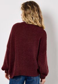 Apricot EMBROIDERED DAISY - Trui - burgundy