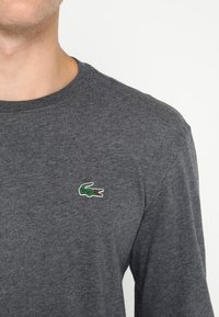 Graues Langarm-T-Shirt aus Baumwollmaterial, mit einem kleinen grünen und roten Krokodil-Logo auf der linken Brustseite.