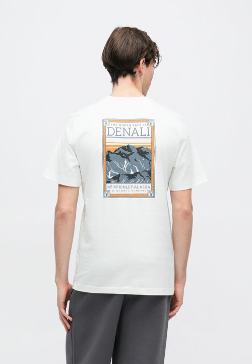 The North Face REGULAR SHORT SLEEVE TEE GRAPHIC - Tricou cu imprimeu - white