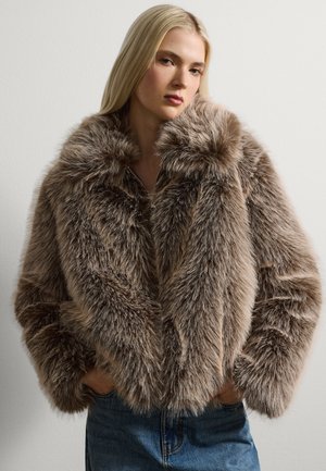 Veste d'hiver - dark brown