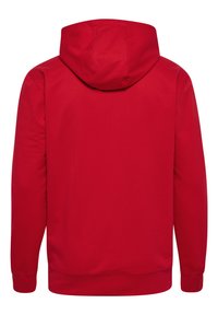 Rode hoodie met lange mouwen en een trekkoordcapuchon. Gemaakt van zacht materiaal met een gladde textuur. Eenvoudig ontwerp, geen zichtbare patronen of accenten.