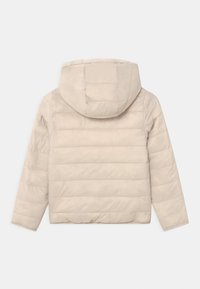 Abercrombie & Fitch Zimní bunda - beige
