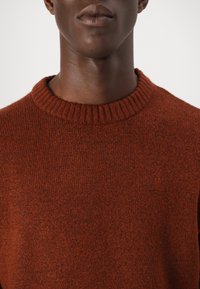 Pull en tricot couleur rouille avec un col rond en maille côtes. La texture est douce et légèrement duveteuse, avec un motif uniforme sur toute la surface.