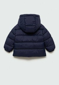 Mörkblå vadderad toddlerjacka med huva och elastiska ärmslut, visad bakifrån mot en enkel ljus bakgrund.