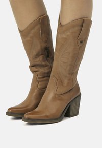 Stivali da cowboy in pelle marrone con punte appuntite, cuciture decorative e tacco impilato. Presentano una cerniera laterale per indossarli facilmente.