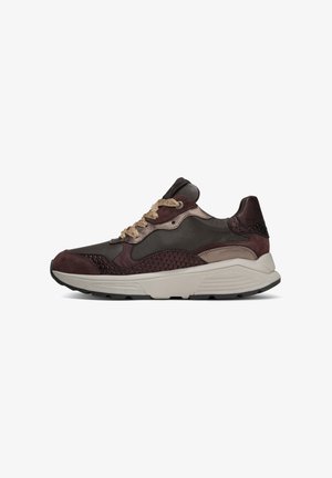 Xsensible, RAINBOW GX - Trainers - bordeaux combi