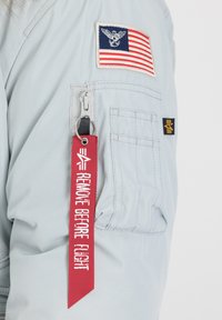 Alpha Industries POLAR UNISEX - Parka - pastel grey