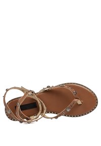 Sandalia plana marrón con múltiples cintas, adornos de tachuelas y una suela sólida en tono beige. Presenta acentos metálicos circulares y un tacón plano.