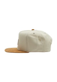 DC Shoes BRACKERS - SNAPBACK - Pet - wdw birch