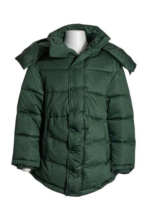 Dunkelgrüne, gesteppte Winterjacke mit Druckknöpfen, hohem Kragen und elastischen Bündchen an einem weißen Schaufenster-Rumpf.