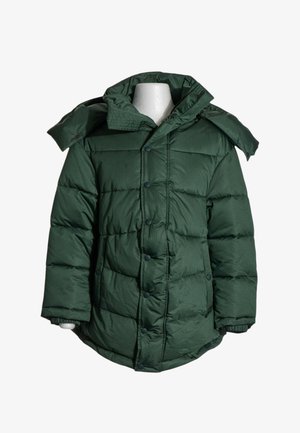 Dunkelgrüne, gesteppte Winterjacke mit Druckknöpfen, hohem Kragen und elastischen Bündchen an einem weißen Schaufenster-Rumpf.