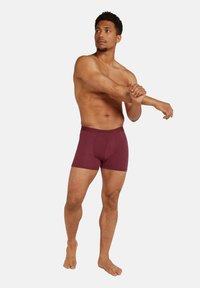 icebreaker MER COOL-LITE ANATOMICA  - Calzoncillos - port